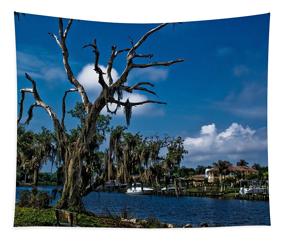 Landscape Tapestry featuring the photograph By the River #1 by Chauncy Holmes