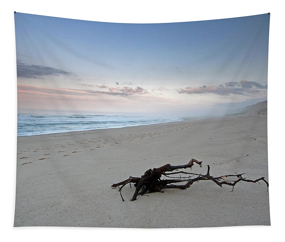 Driftwood Tapestry featuring the photograph Cape Cod National Seashore #1 by Juergen Roth