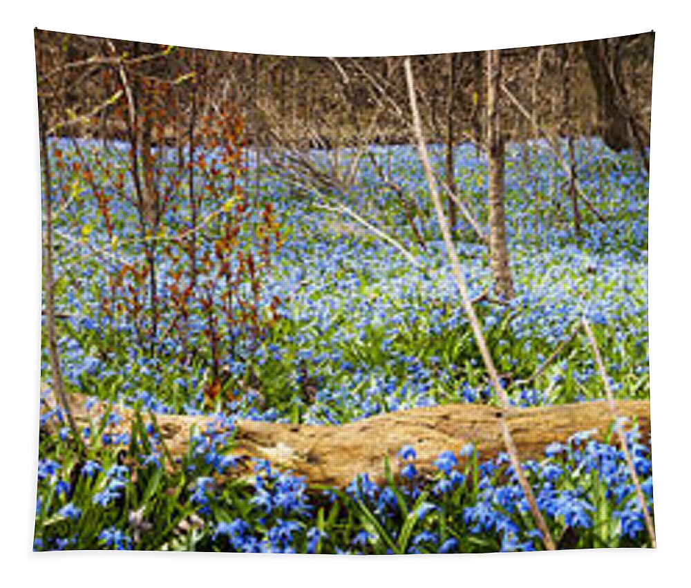 Flowers Tapestry featuring the photograph Carpet of blue flowers in spring forest 2 by Elena Elisseeva