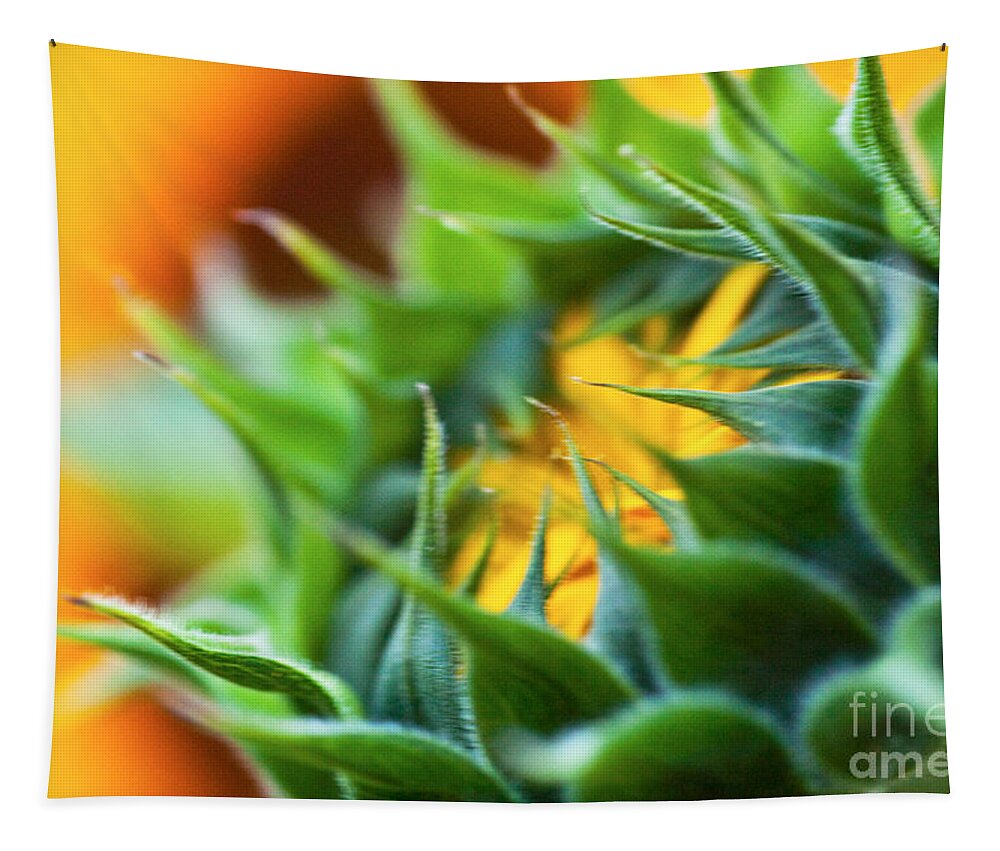 Irir Tapestry featuring the photograph Closed Sunflower blossom #2 by Iris Richardson