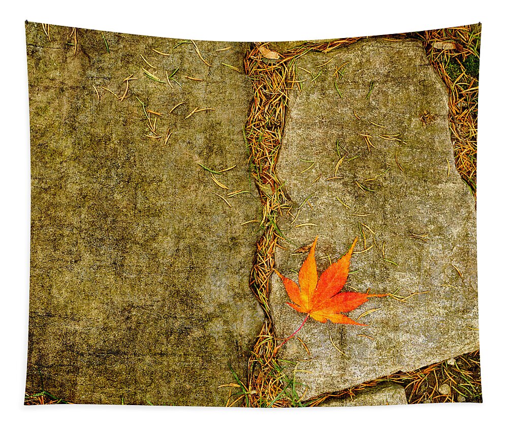 Fall Tapestry featuring the photograph Leaf on Stones Squared by Marianne Campolongo