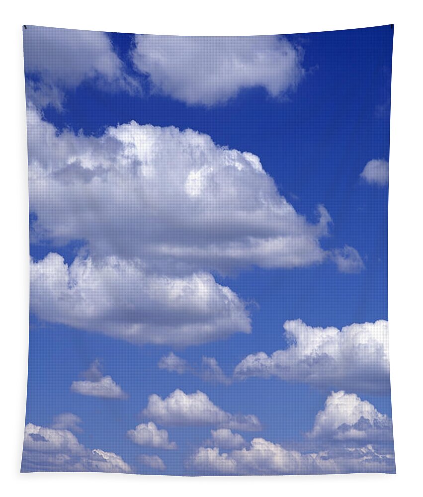 Mother Nature Tapestry featuring the photograph Cumulus clouds in blue sky #2 by Jim Corwin