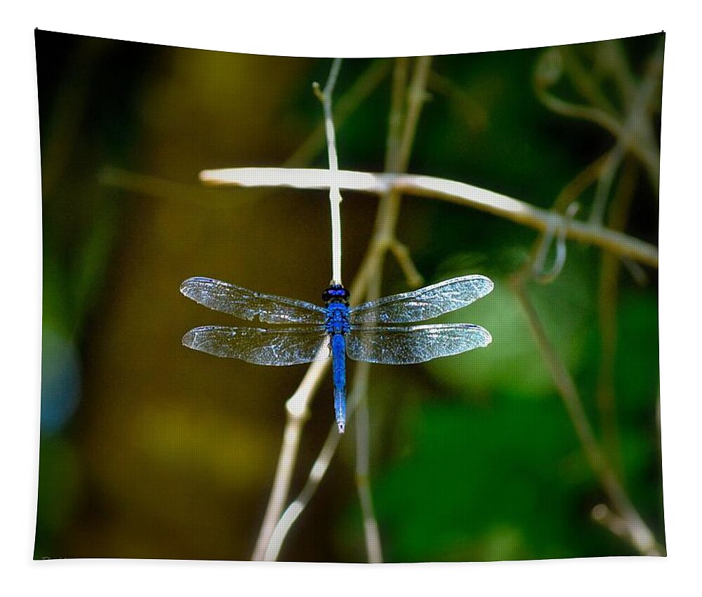 Dragonfly Tapestry featuring the photograph Dragonfly #1 by Tara Potts