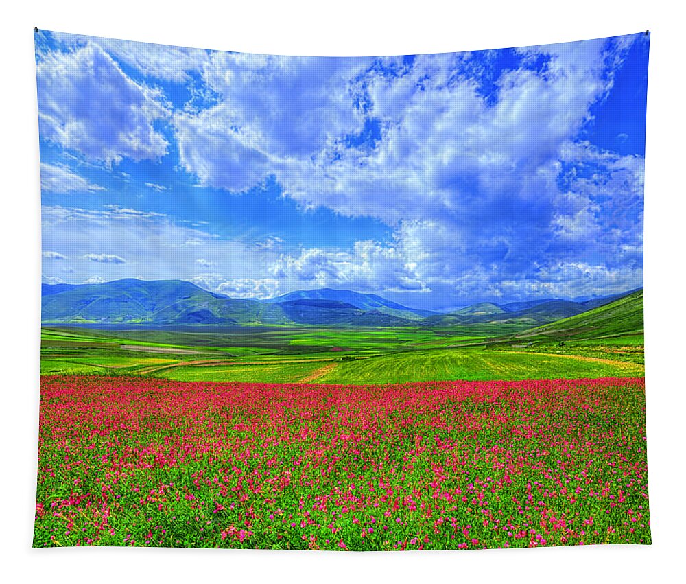 Flowers Tapestry featuring the photograph Fields of Dreams #1 by Midori Chan