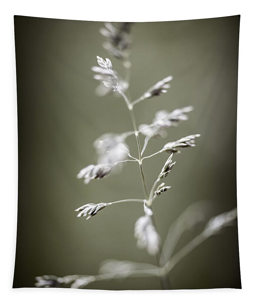Grass Tapestry featuring the photograph Flowering grass 2 by Elena Elisseeva