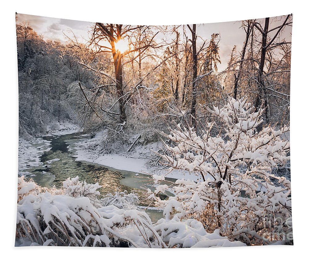 Winter Tapestry featuring the photograph Forest creek after winter storm 4 by Elena Elisseeva