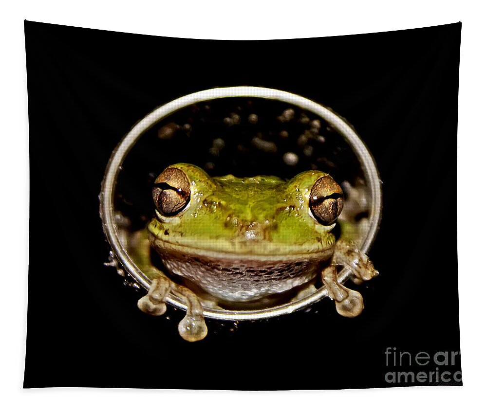 Macro Tapestry featuring the photograph Frog #2 by Olga Hamilton