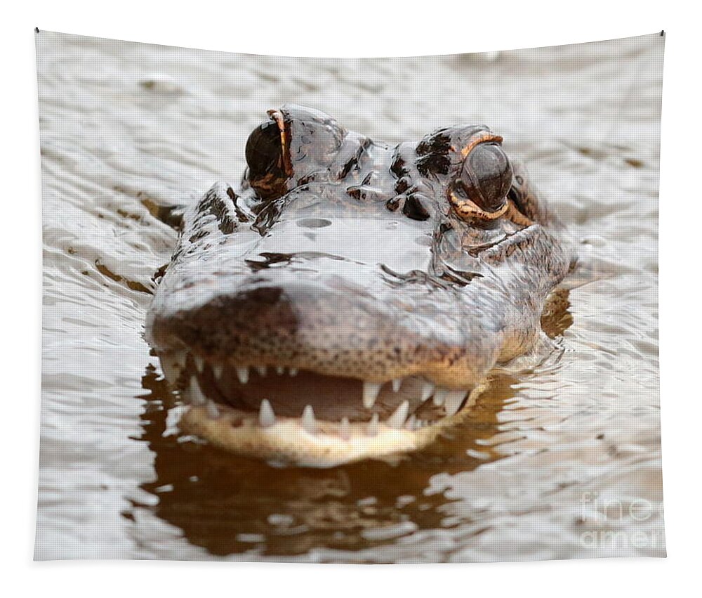 Gator Tapestry featuring the photograph Gator Eyes by Carol Groenen