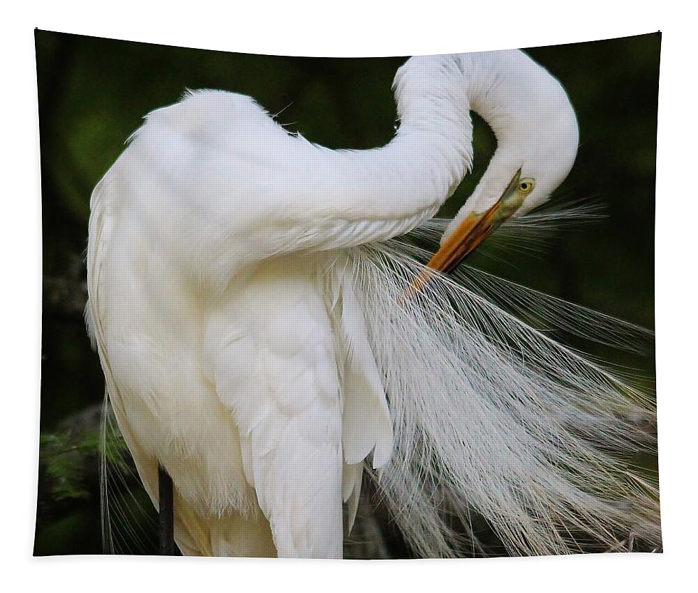 Bird Tapestry featuring the photograph Gorgeous Great White Egret #1 by Paulette Thomas