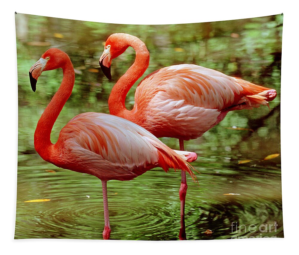 Animal Tapestry featuring the photograph Greater Flamingoes by Millard H Sharp