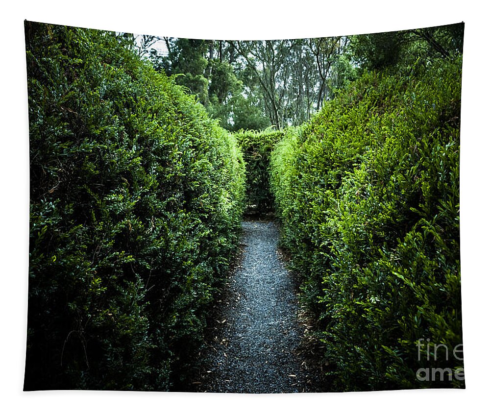 Green Tapestry featuring the photograph Green nature photo inside hedge maze #1 by Jorgo Photography