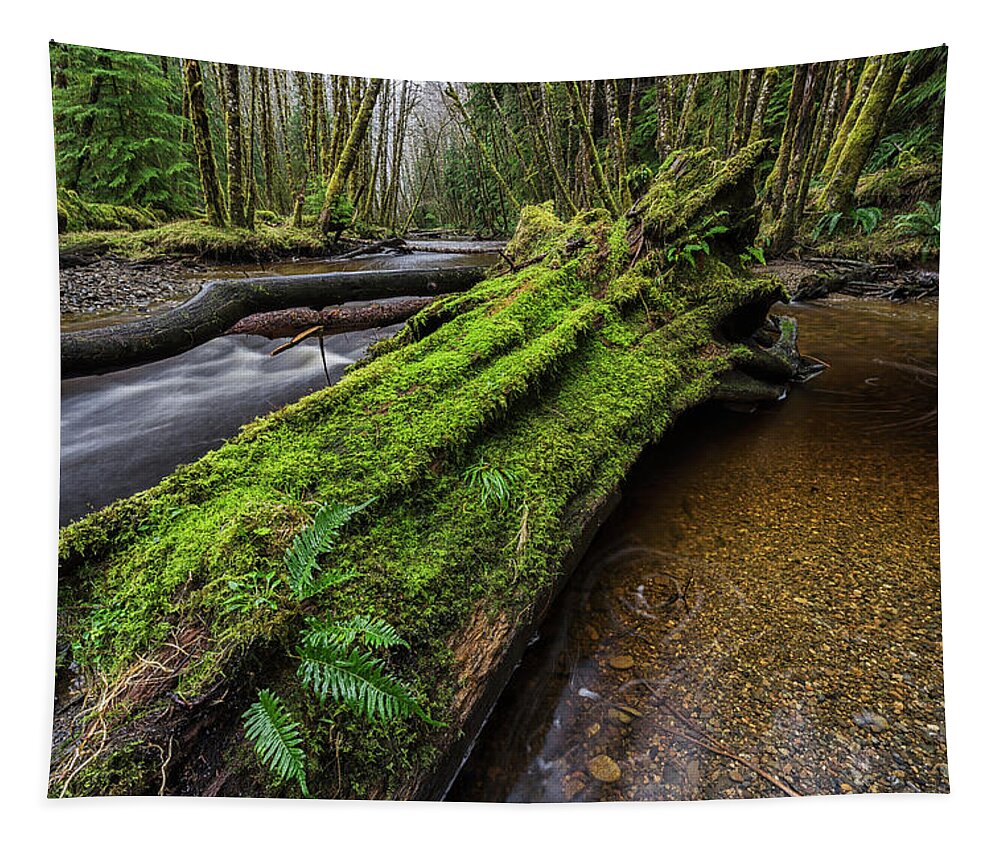 Outdoors Tapestry featuring the photograph Haans Creek Flows Through The Green #1 by Robert Postma