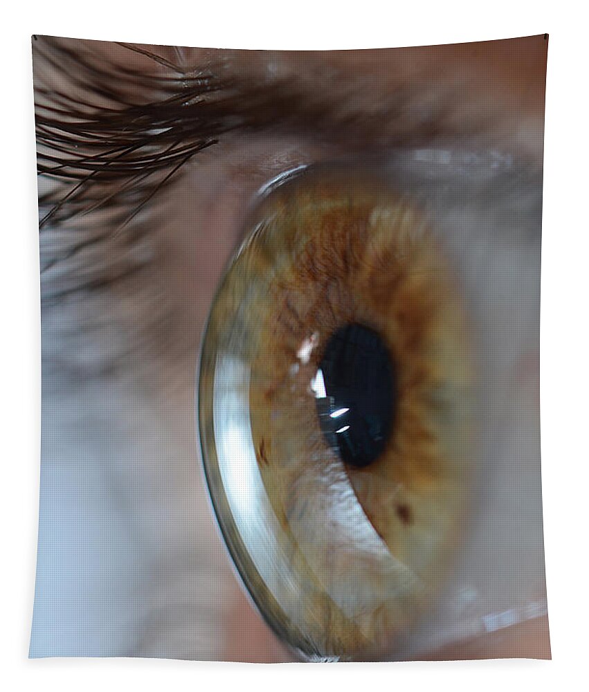20-30 Year Old Tapestry featuring the photograph Hazel Eye #1 by Photo Researchers Inc