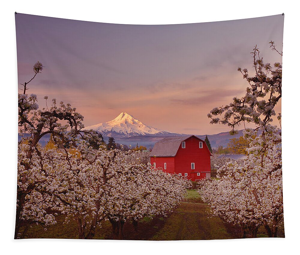 Sunrise Tapestry featuring the photograph Hood River Sunrise #1 by Darren White