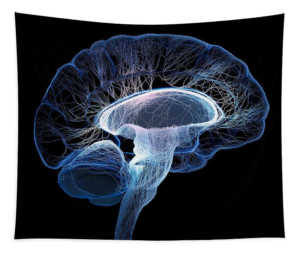 #faatoppicks Tapestry featuring the photograph Human brain complexity by Johan Swanepoel