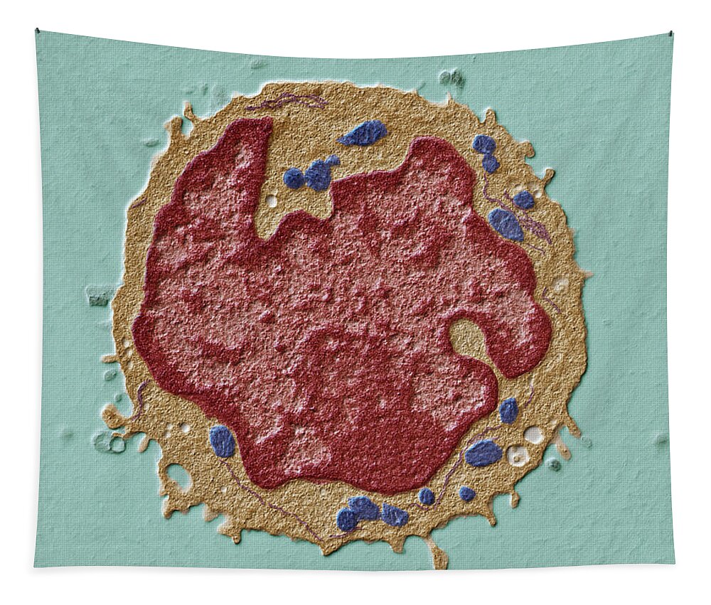 Cell Lymphocyte Tapestry featuring the photograph Human Lymphocyte, Tem #1 by Eye of Science