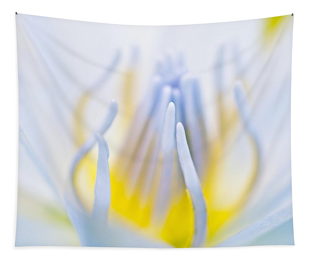 Floral Tapestry featuring the photograph Inside #1 by Priya Ghose