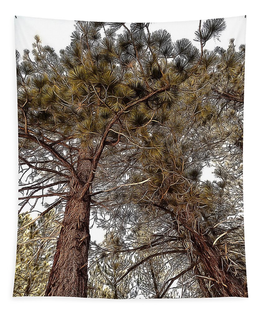Beauty In Nature Tapestry featuring the photograph Jeffrey Pines #2 by Maria Coulson