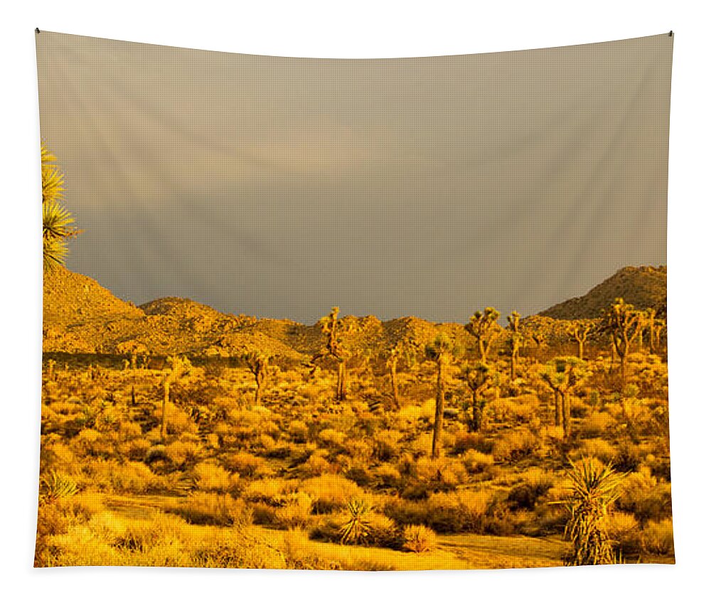 Joshua Tree National Park Tapestry featuring the photograph Joshua Tree Sunset #1 by Kunal Mehra