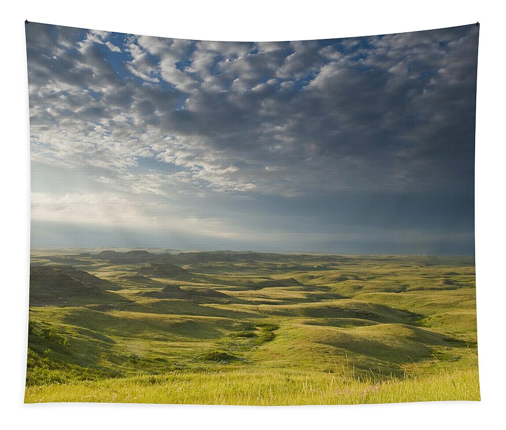 Horizon Tapestry featuring the photograph Killdeer Badlands In The East Block Of #1 by Dave Reede