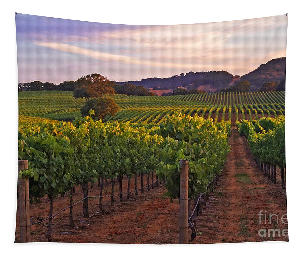 Calistoga Tapestry featuring the photograph Knight's Valley Summer Solstice by Charlene Mitchell