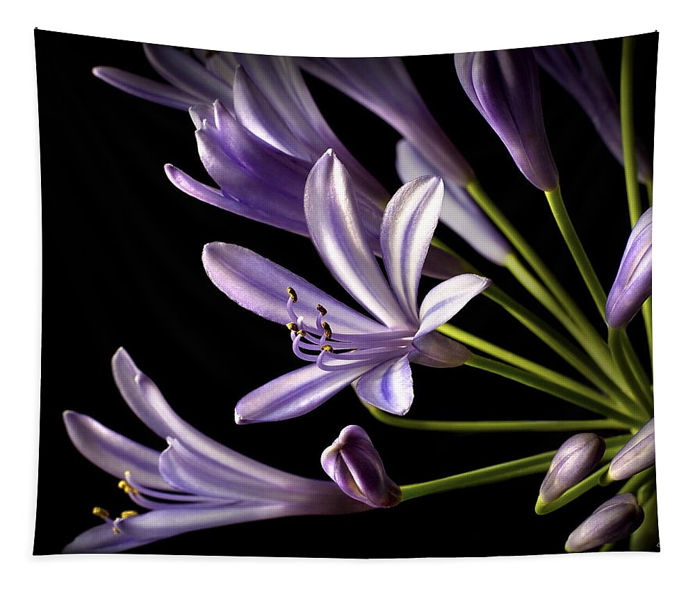 Flower Tapestry featuring the photograph Lilies Of The Nile #1 by Endre Balogh