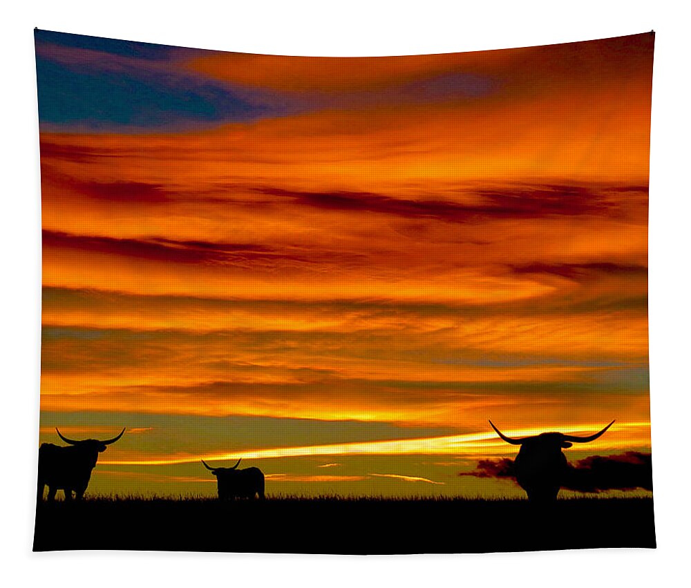 Longhorn Tapestry featuring the photograph Longhorn Sunset #1 by Dawn Key