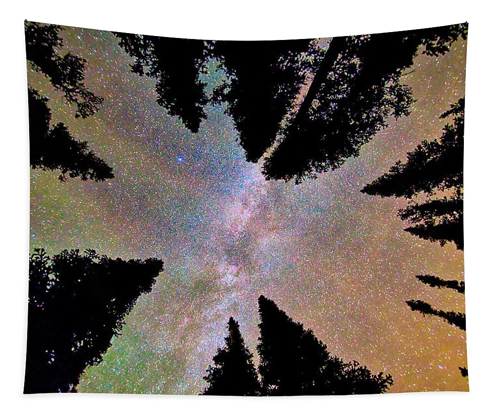 Milky Way Tapestry featuring the photograph Looking Deep Into The Night #2 by James BO Insogna