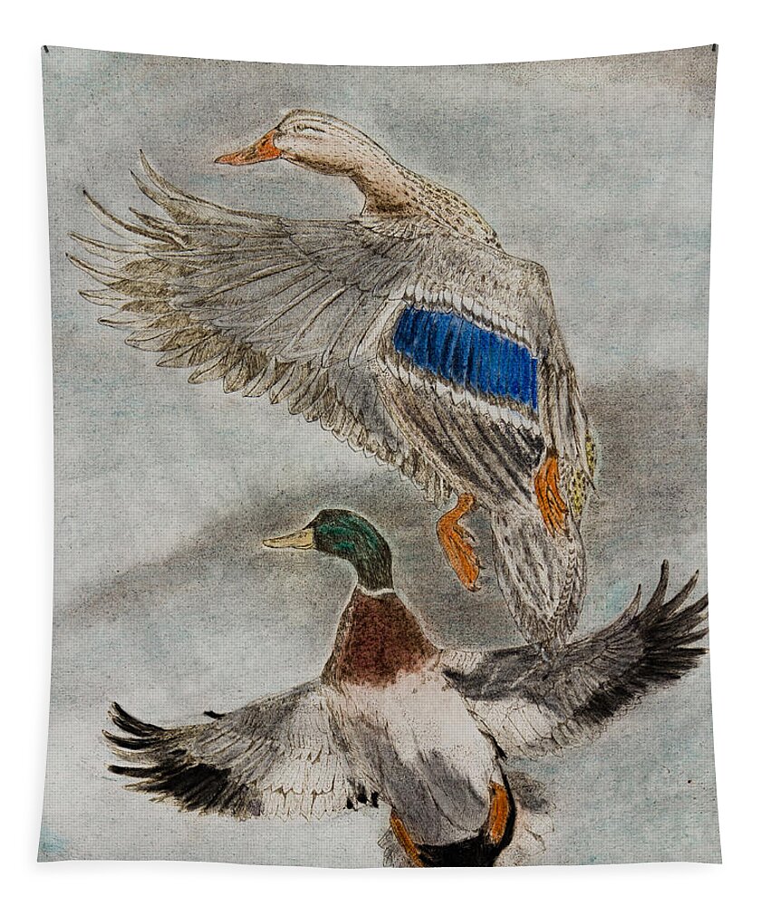 Drawing Tapestry featuring the drawing Mallard Pair #1 by Chris Steele