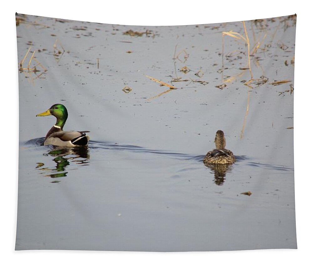 Mallard Tapestry featuring the photograph Mallards #1 by Bonfire Photography