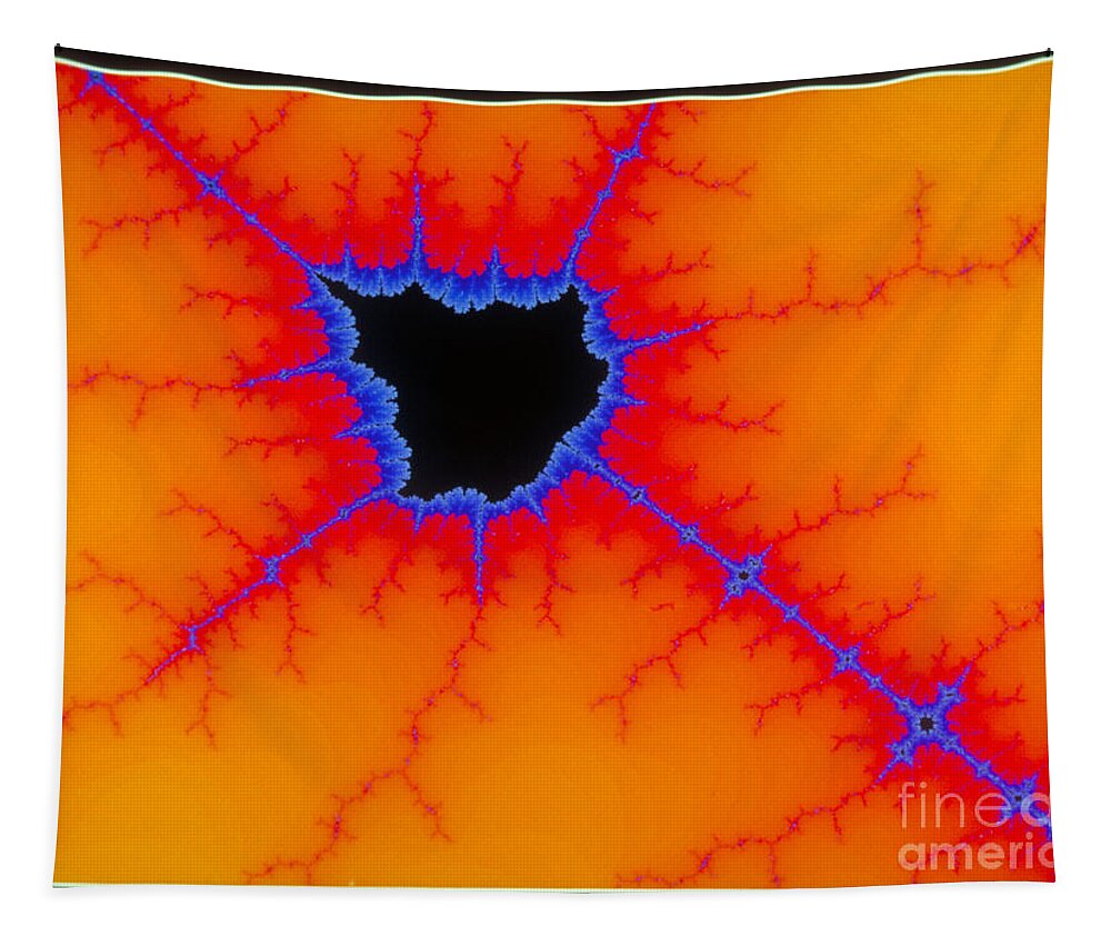 Science Tapestry featuring the photograph Mandelbrot Set #2 by Scott Camazine
