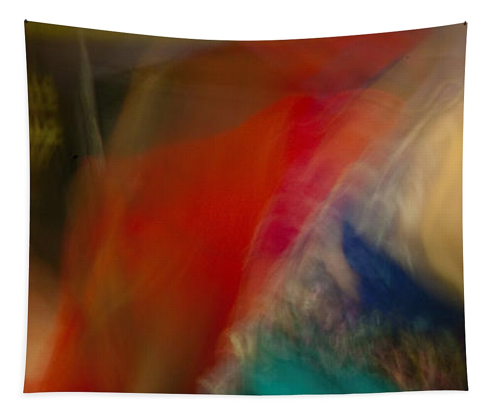 Belly Dancing Tapestry featuring the photograph Mideastern Dancing by Catherine Sobredo