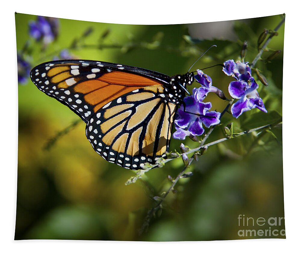 Monarch Tapestry featuring the photograph Monarch Butterfly by David Millenheft