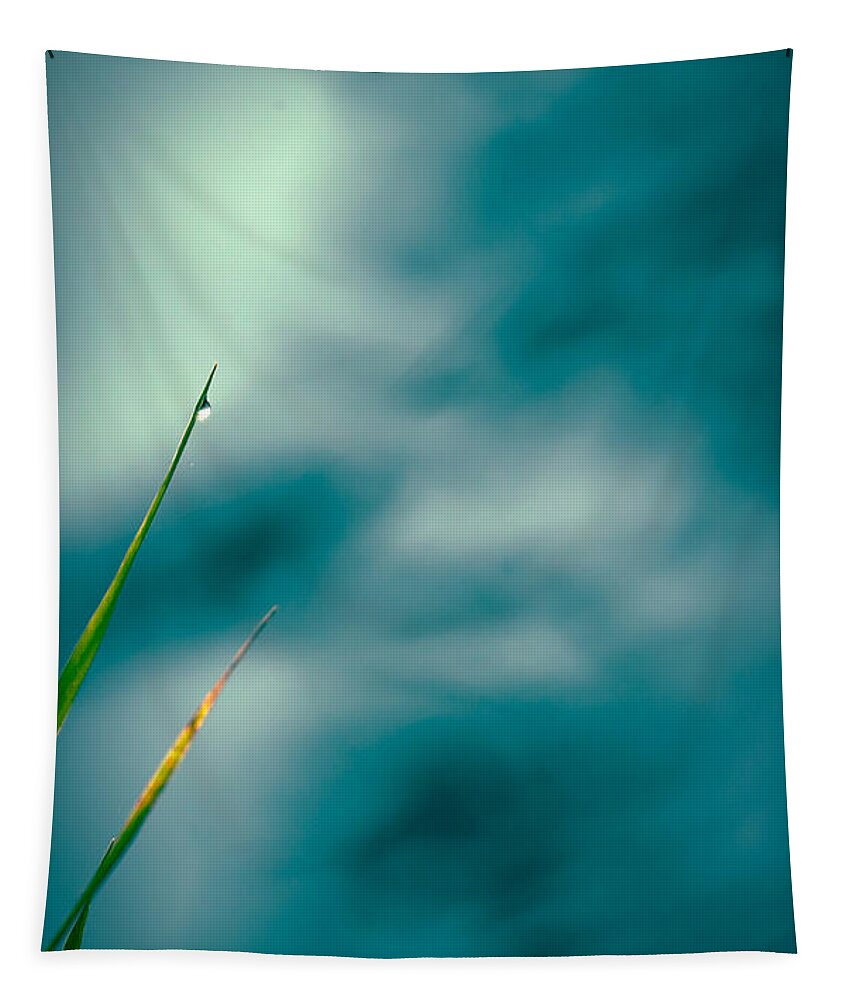 Grass Tapestry featuring the photograph Morning Dew #3 by Bob Orsillo