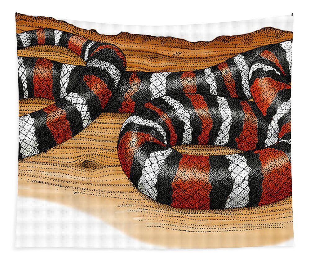 Art Tapestry featuring the photograph Mountain Kingsnake by Roger Hall