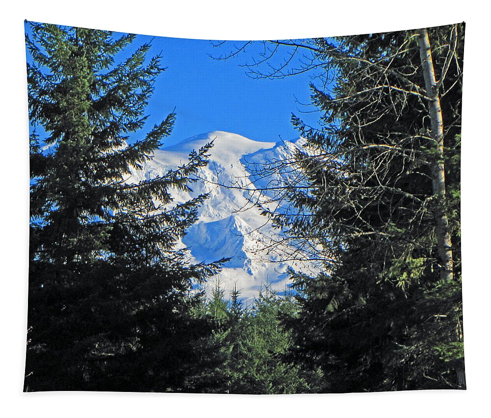 Mountain Tapestry featuring the photograph Mt. Rainier I #1 by Tikvah's Hope