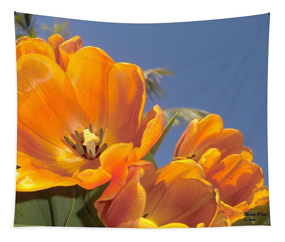 Flower Photograph Tapestry featuring the photograph Transform by Michele Penn