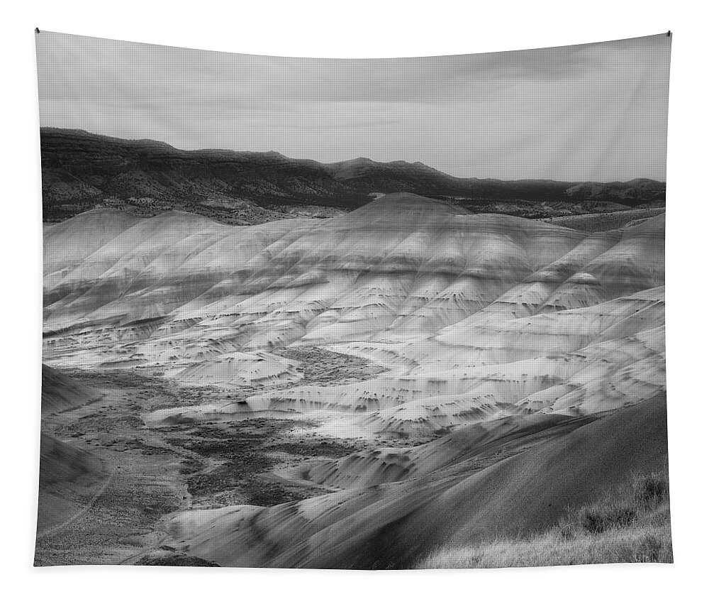 Painted Hills Tapestry featuring the photograph Painted Hills in Square #1 by Ryan Manuel