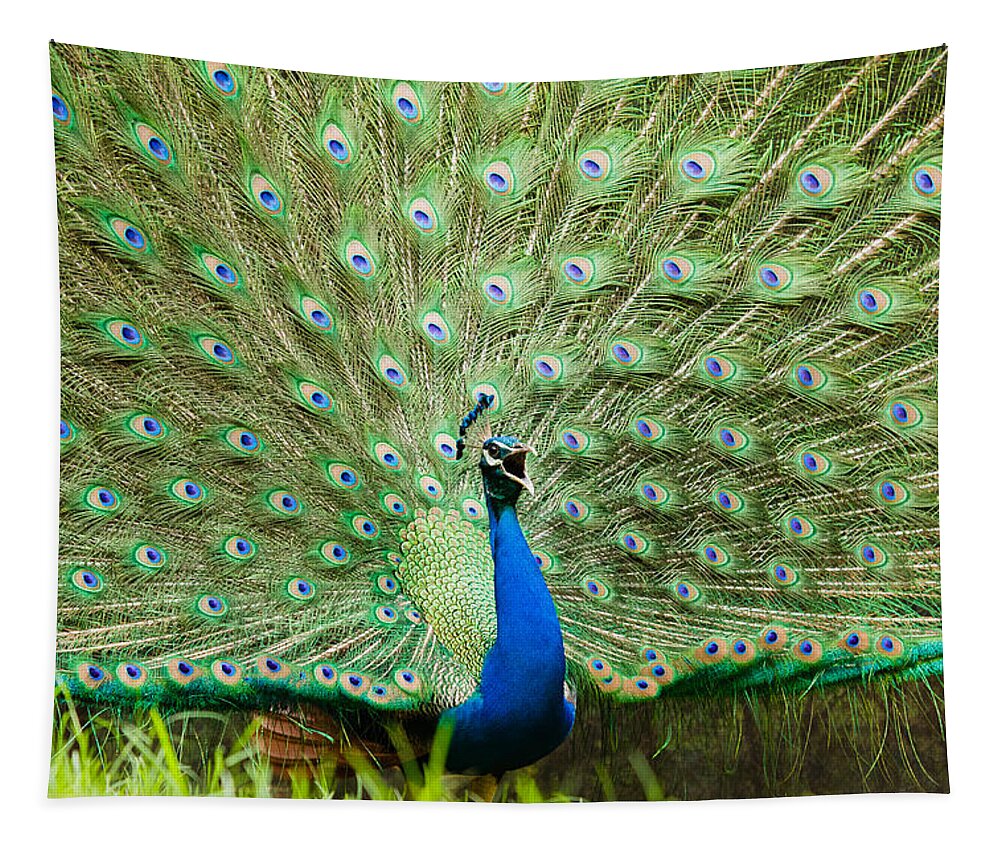 Blue Peafowl Tapestry featuring the photograph Peacock #1 by SAURAVphoto Online Store
