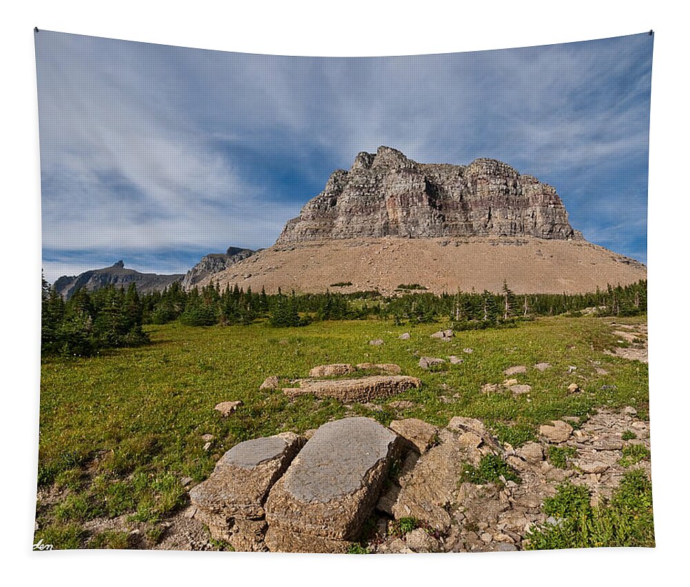 Alpine Tapestry featuring the photograph Pollock Mountain from Logan Pass #2 by Jeff Goulden