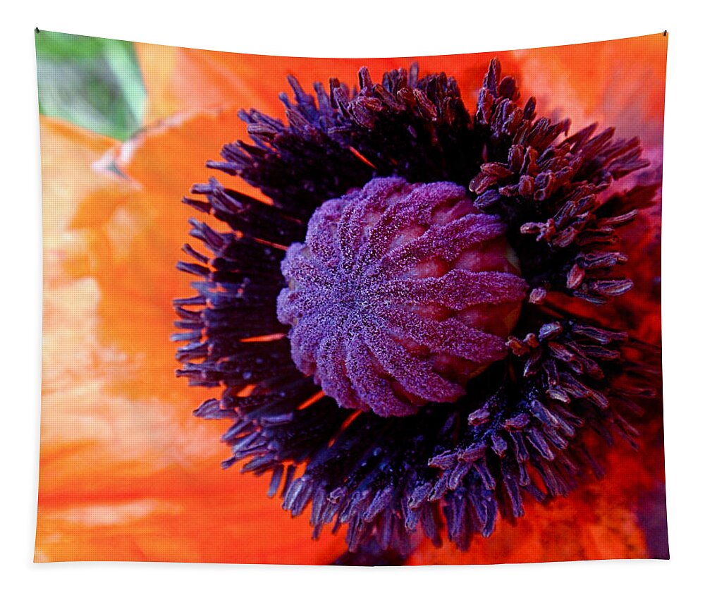 Poppy Tapestry featuring the photograph Poppy by Rona Black