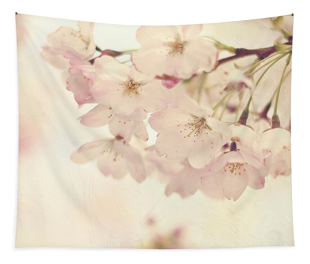 Flowers Tapestry featuring the photograph Ready For Spring #1 by Sylvia Cook