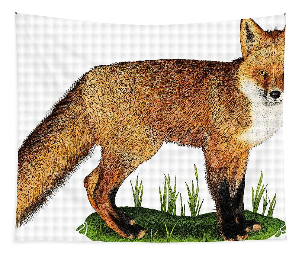 Fox Tapestry featuring the photograph Red Fox #1 by Roger Hall