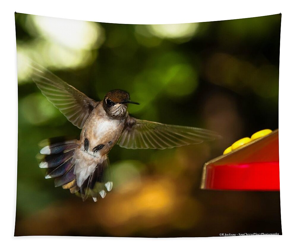 Ruby Throated Hummingbird Tapestry featuring the photograph Ruby Throated Hummingbird #1 by Robert L Jackson