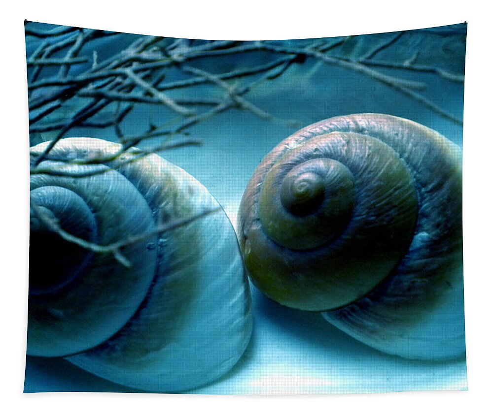 Colette Tapestry featuring the photograph Snail Joy #2 by Colette V Hera Guggenheim