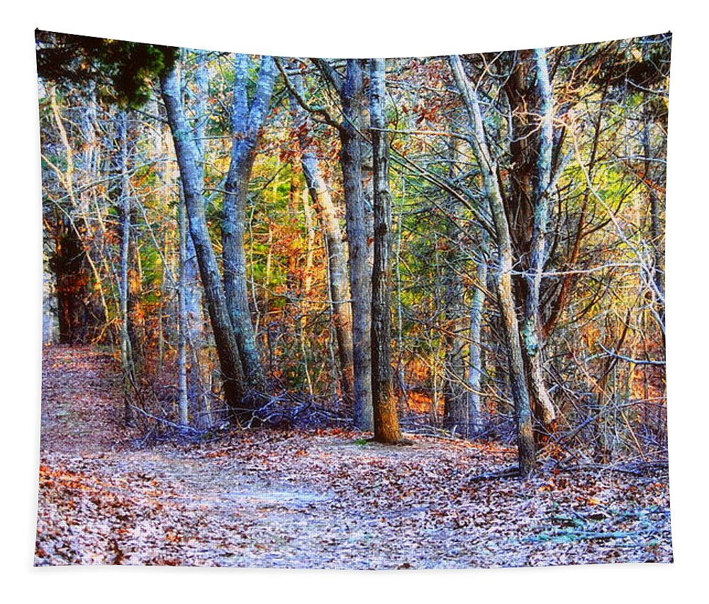 Digital Art Tapestry featuring the digital art Spring Wood by Marysue Ryan
