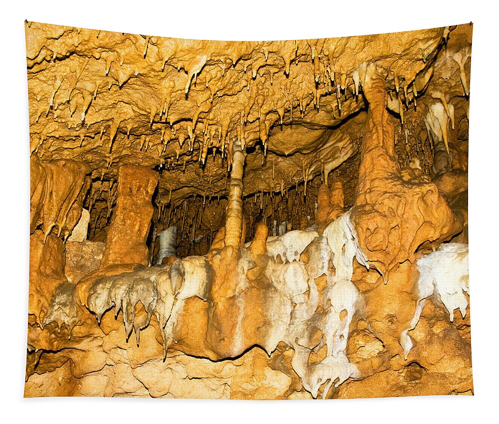 Nature Tapestry featuring the photograph Stalagmite Formations In Florida #1 by Millard H. Sharp