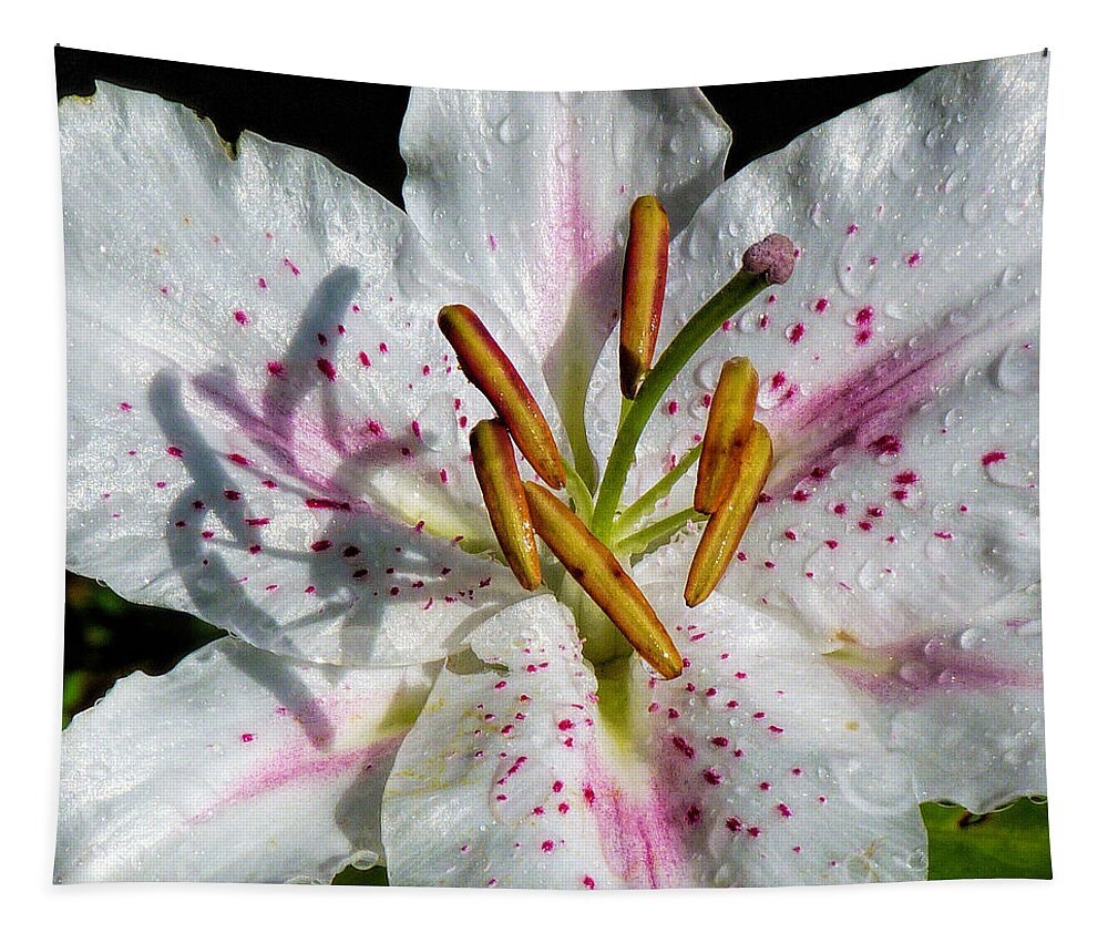 Lily Tapestry featuring the photograph Stargazer Lily #1 by Lynn Bolt