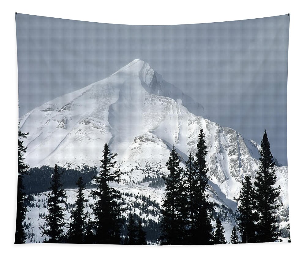 Americas Tapestry featuring the photograph Sugar Icing Mountain Top #1 by Roderick Bley