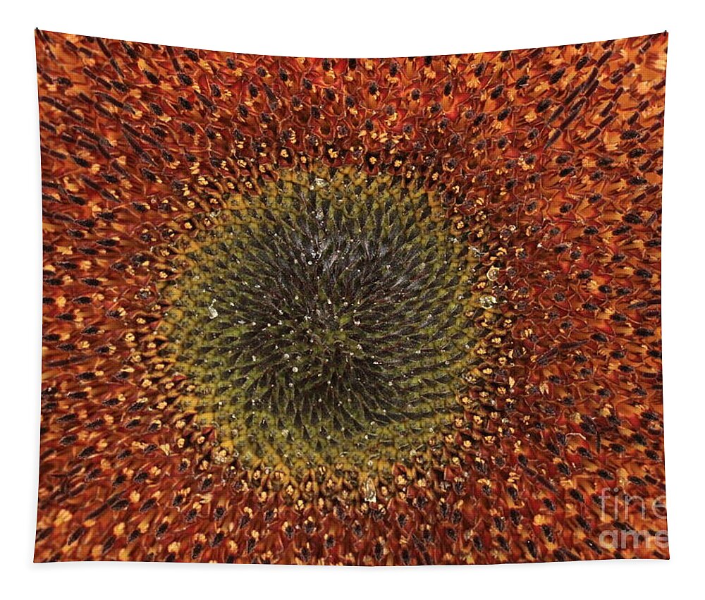 Background Tapestry featuring the photograph Sunflower Seeds by Amanda Mohler